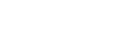 Logic Employment Services Logo
