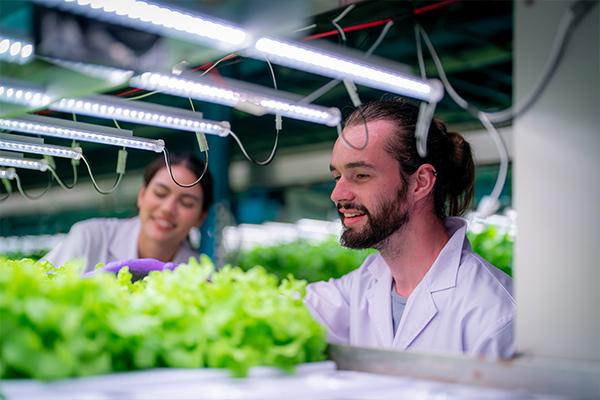 Food Processing and Agriculture